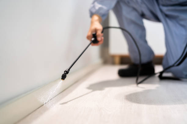 Licensed Pest Control service in Hurley, WI - Show Me Pest Control
